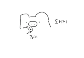 11555.png
